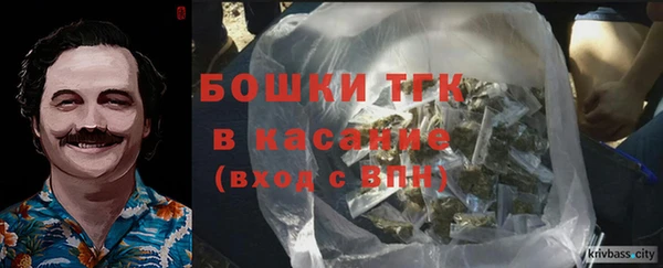 амф Верхний Тагил