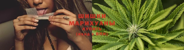 амф Верхний Тагил