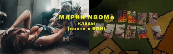 амф Верхний Тагил