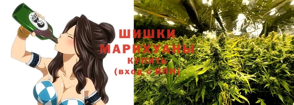 амф Верхний Тагил