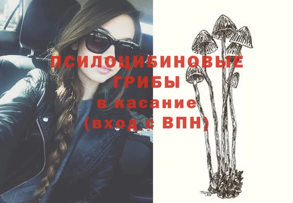 амф Верхний Тагил