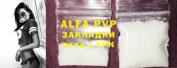 амф Верхний Тагил