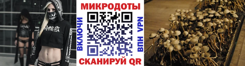 Галлюциногенные грибы Psilocybe  Красногорск 